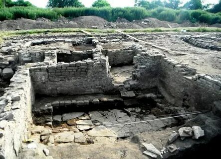 Dig site