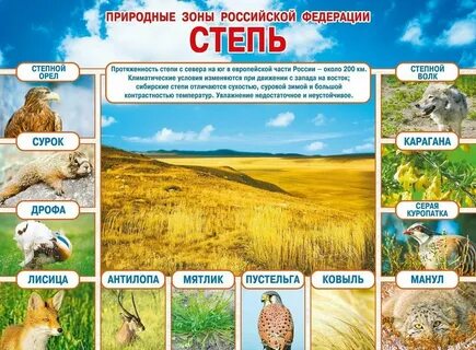 Биология 5 класс природные зоны название животных
