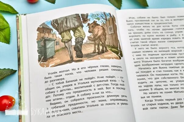Книга белый щенок ищет хозяина. Белый щенок ищет хозяина. В крапивина белый щенок ищет хозяина. Крапивин книги. Белый щенок ищет хозяина крапивин.