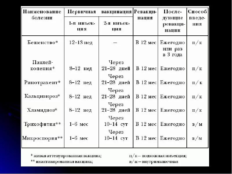 В каком возрасте щенкам делают. Прививки коту график прививок. прививки для собак до года таблица. какие прививки ставят щенкам в 1 год. какие прививки щенкам по возрасту таблица.
