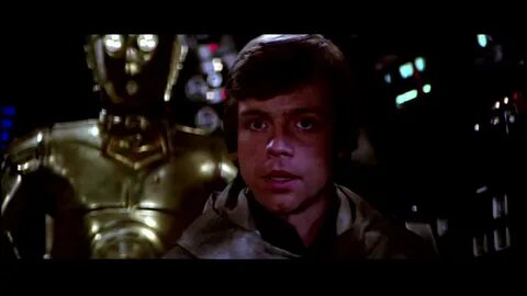 Қынап шашты порно таңдаулылар