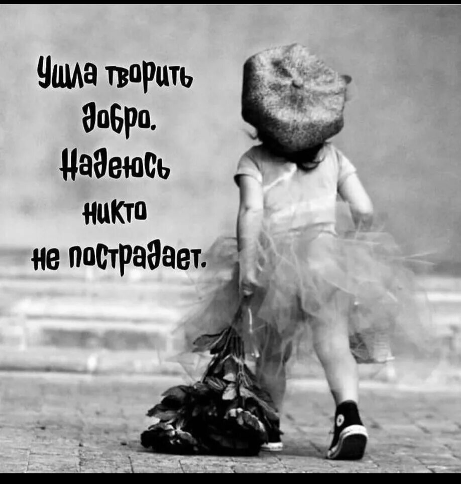 А я уйду обид не замечая конфетку шоколадную жуя и пусть тебя полюбит. А я уйду обид не замечая конфетку шоколадную жуя картинка. Конфетку шоколадную жуя и пусть тебя. Полюбит лошадь злая. Полюбит лошадь злая.