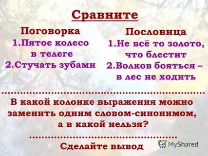 Что это пословица или