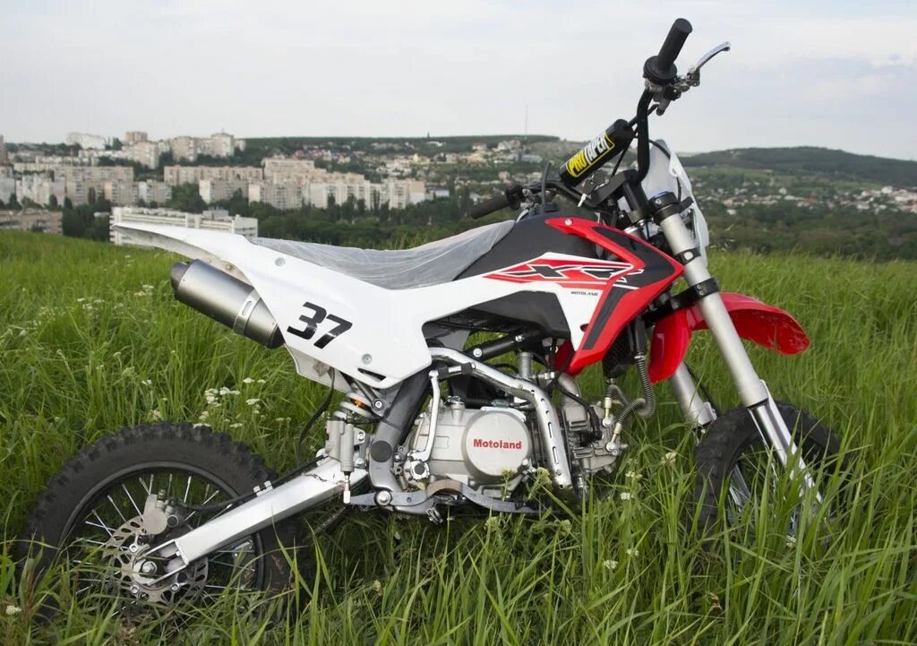 Питбайк Motoland XR 125. Motoland XR 140. Питбайк мотолэнд 140. Питбайк Motoland crf125 SM. Мотолэнд 125 купить