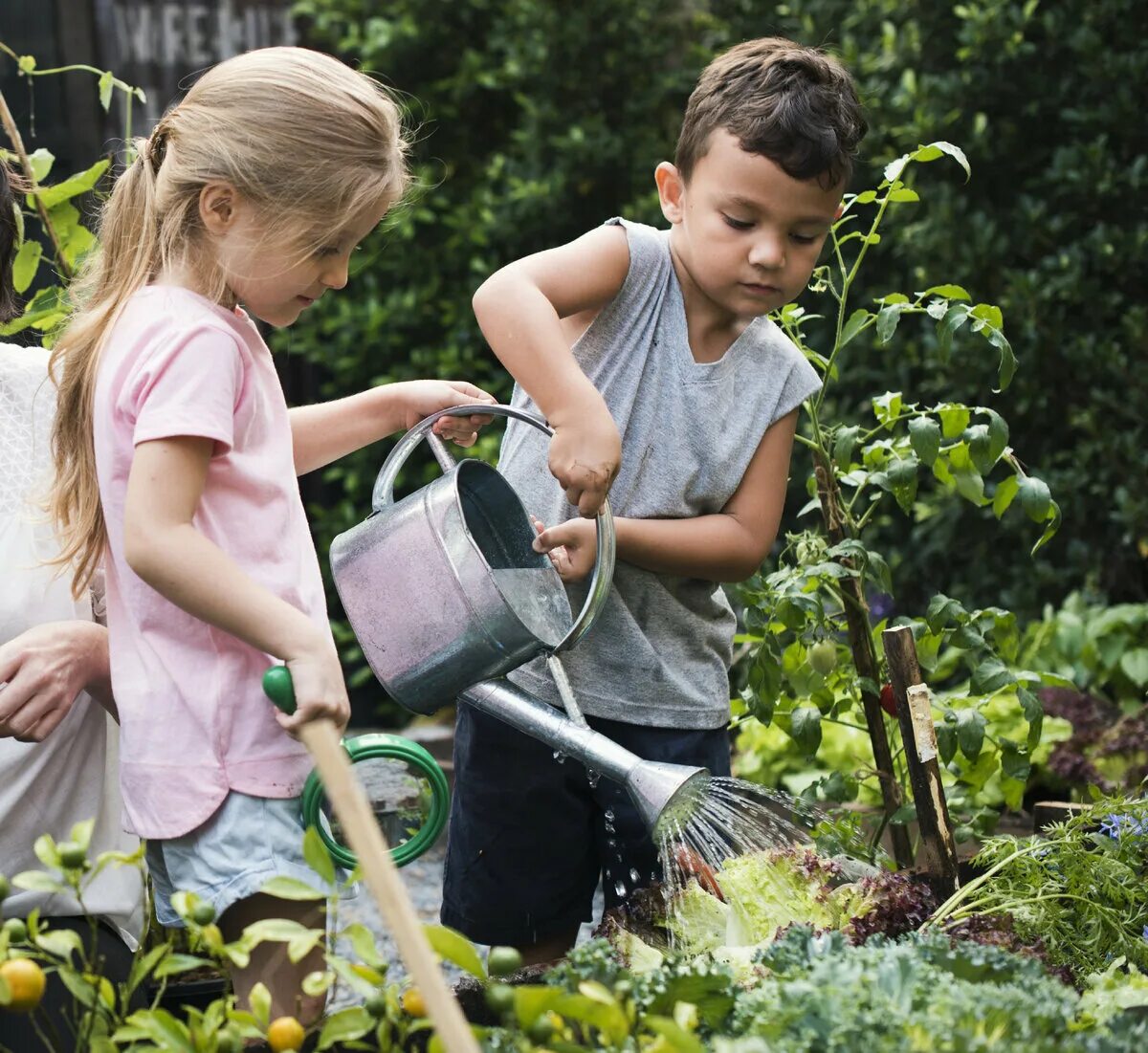 We were watering the plants. Дети поливают огород. Грядка для детей. Дети поливают цветы. Огород для детей.