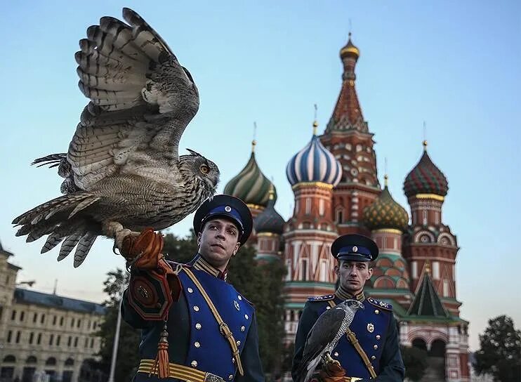 Сокол спб