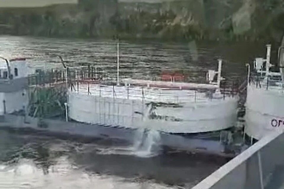 Леня судов