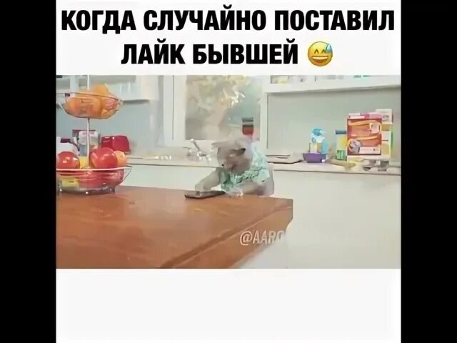 Поставь случайное