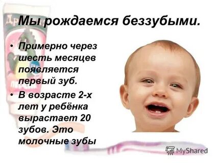 9 месяцев 1 зуб