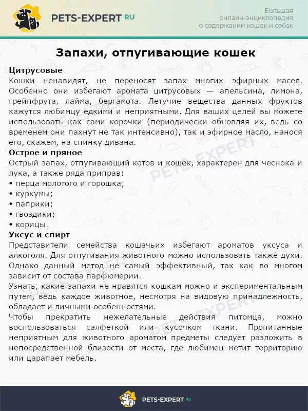Какой запах не любят кошки. Запахи которые пугают кошек. какой запах отпугивает кошек. какие запахи отталкивают кошек.