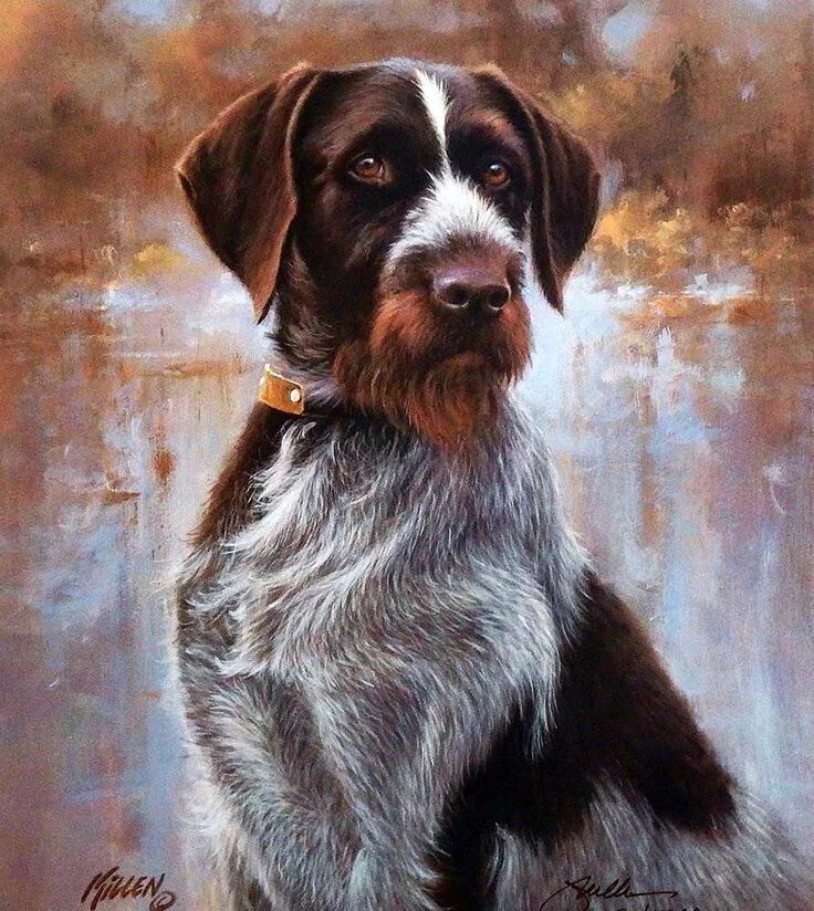 Художник рисующий собак