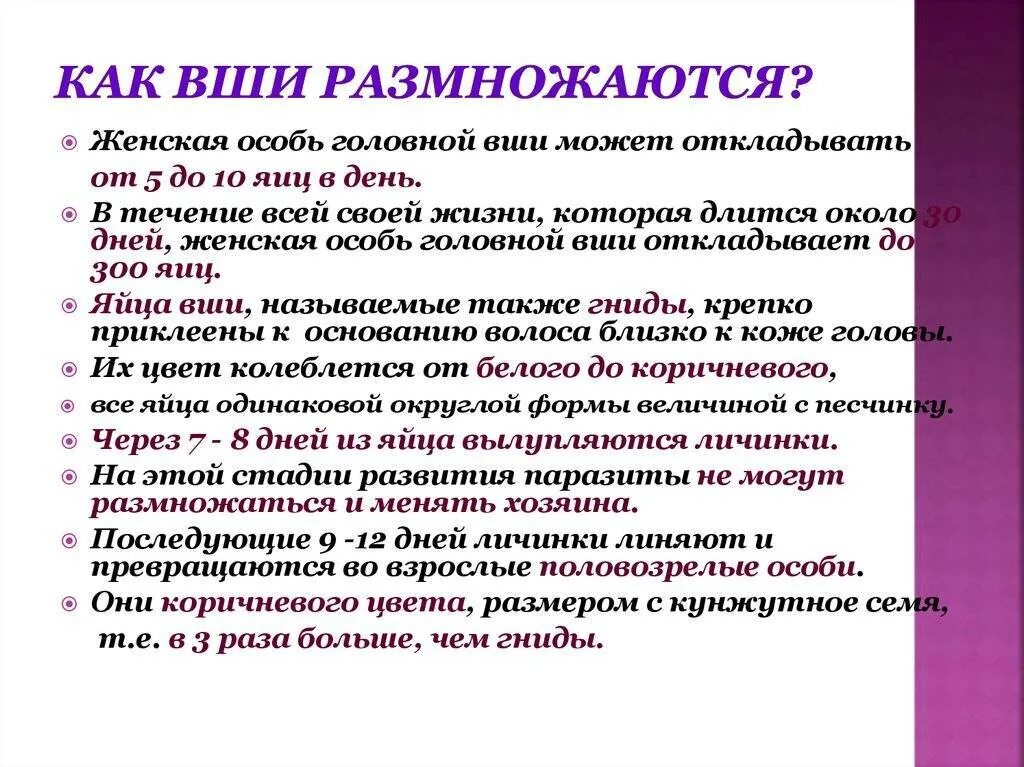 Как размножается вша