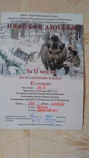 Пермский край собаки