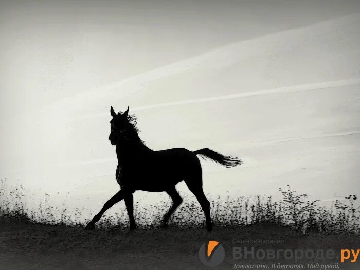 книга багинской жить жизнь