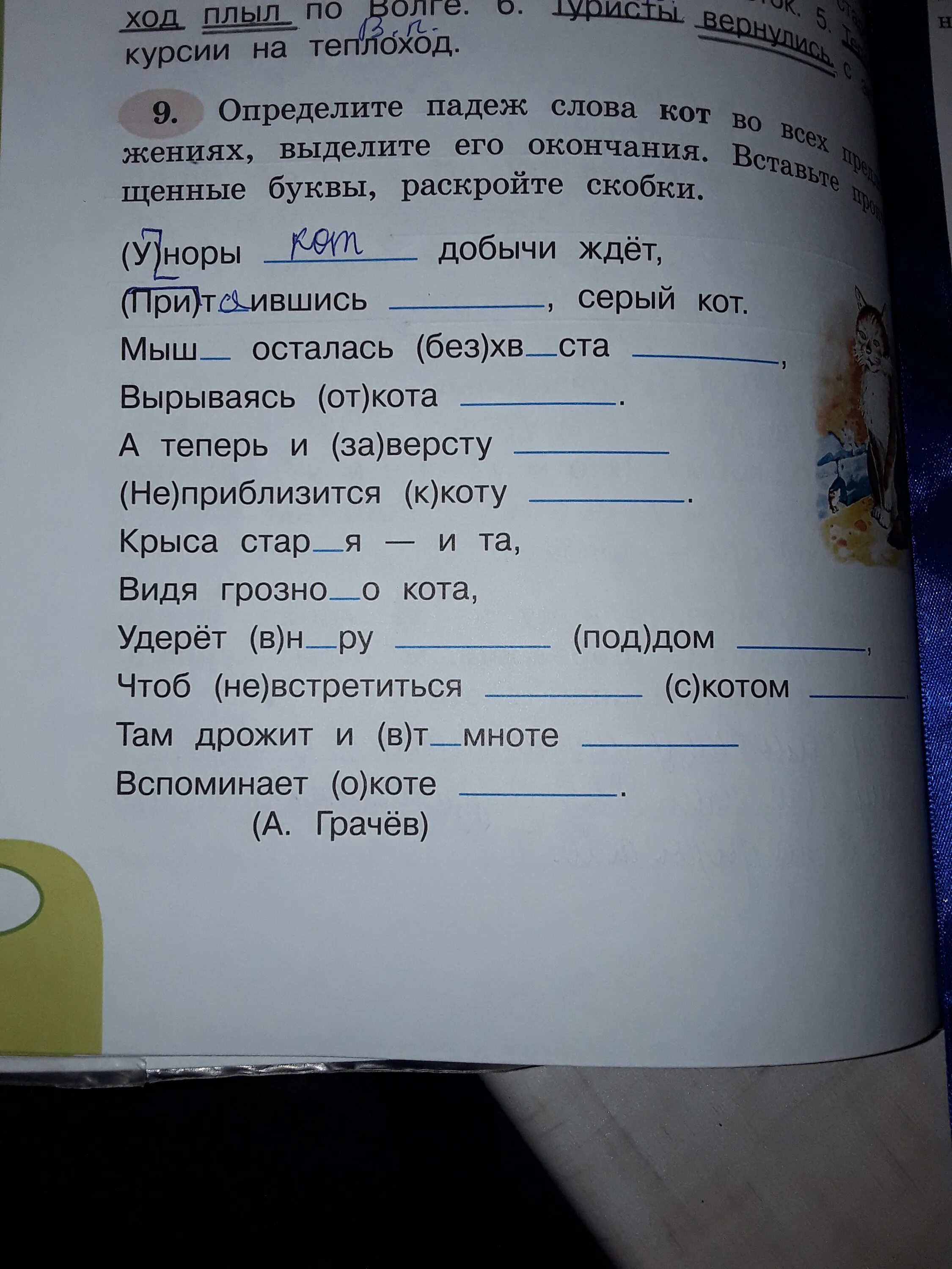 Падеж слова кота. Падеж слова нору. Падеж слово Волгу. Правила падежей в русском языке 4 класс. Падеж слова медвежата