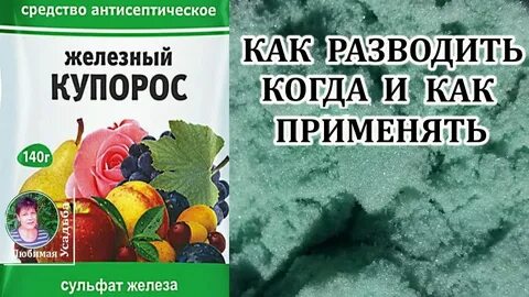 Обработка сада карбамидом и железным купоросом осенью