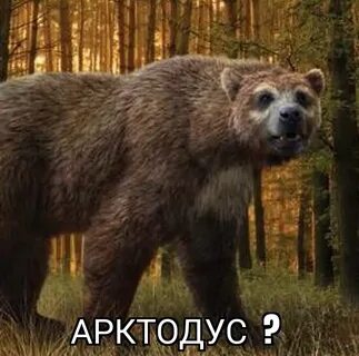 Арктотерий в якутии