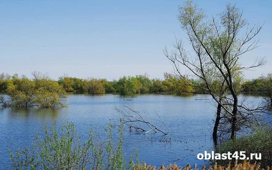 Тобол уровень. Тобол курганская область. река тобол курган. курганская область реки курганской области. река тобол в городе кургане курганской области красота реки тобол.