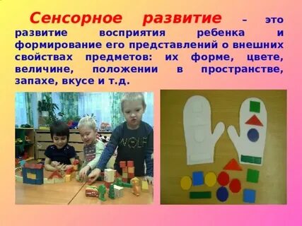 Сенсорно моторное развитие