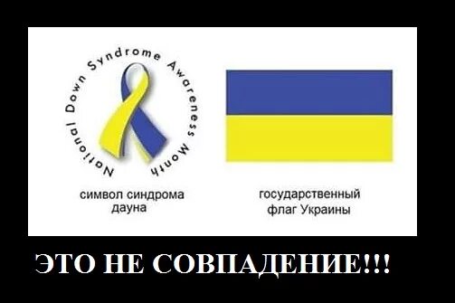 Символ синдрома Дауна и флаг Украины. Символ синдрома Дауна. Цвета украинского флага. Цвет флага даунов. Знак дауна