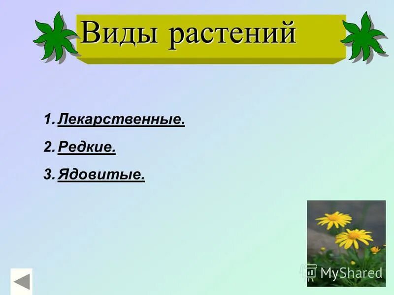 Презентация окружающий мир 3 класс разнообразие растений. Виды растений 3 класс. разновидности растений 3 класс. виды растений окружающий мир третий класс. виды растений список 3 класс.