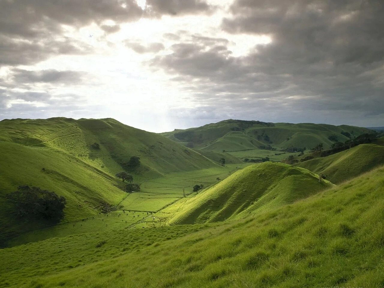Как называется равнина на горе. Штирийско-бургенландская Холмистая равнина. Green Hills зеленые холмы. Холмы и Луга Ирландии. Холмы Бомбей новая Зеландия.