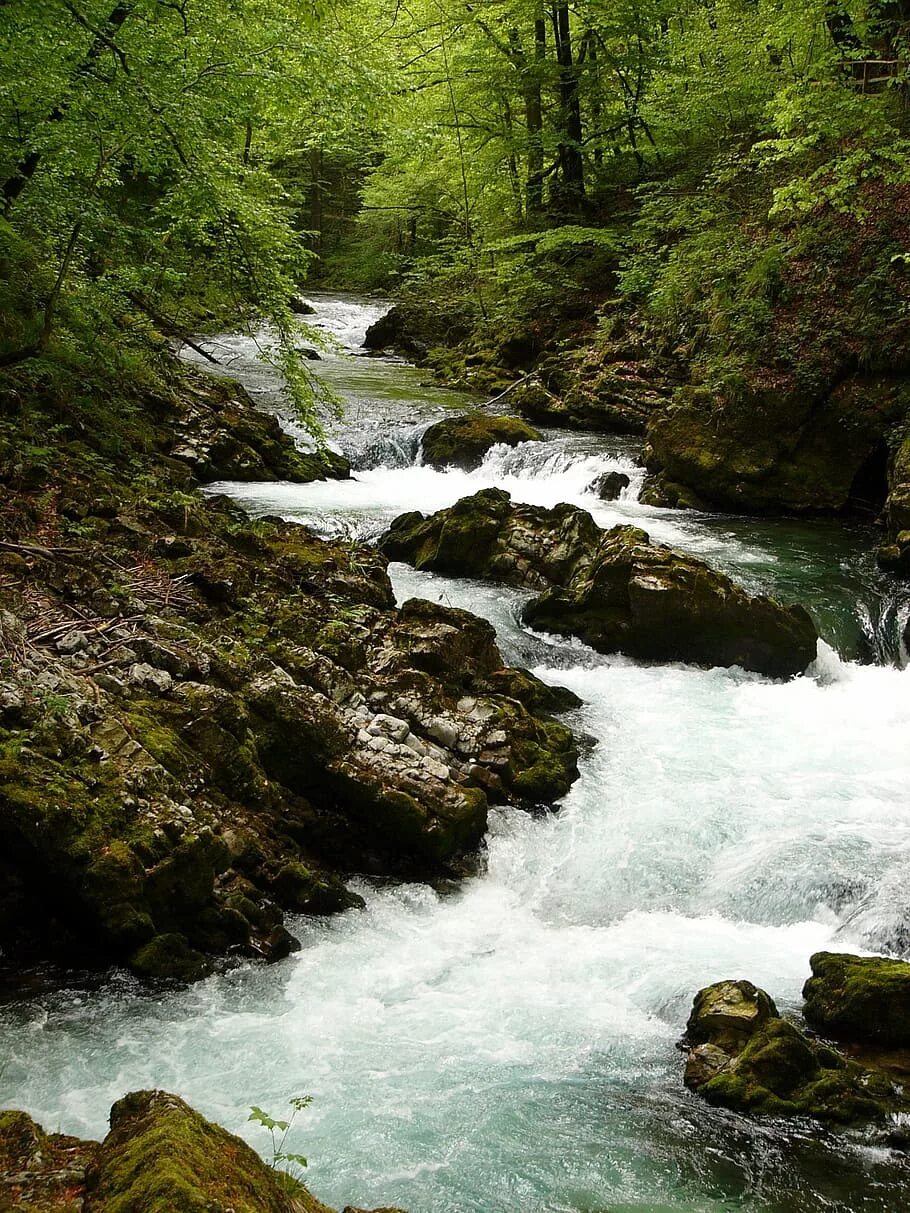 White river. Уайт-Ривер (Нижний приток Миссисипи). Река Уайт. Река Сунгай. Река ручей.