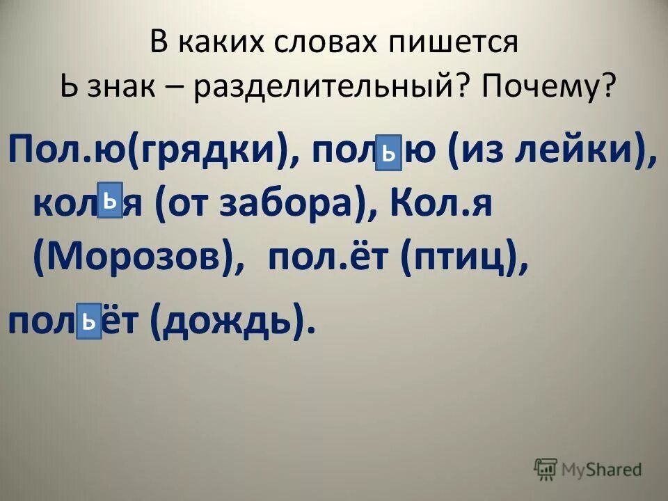 мальчик на грядке. загадки про огород для детей. сажаем огород в детском саду. овощи на грядке. как пишется полю грядки.