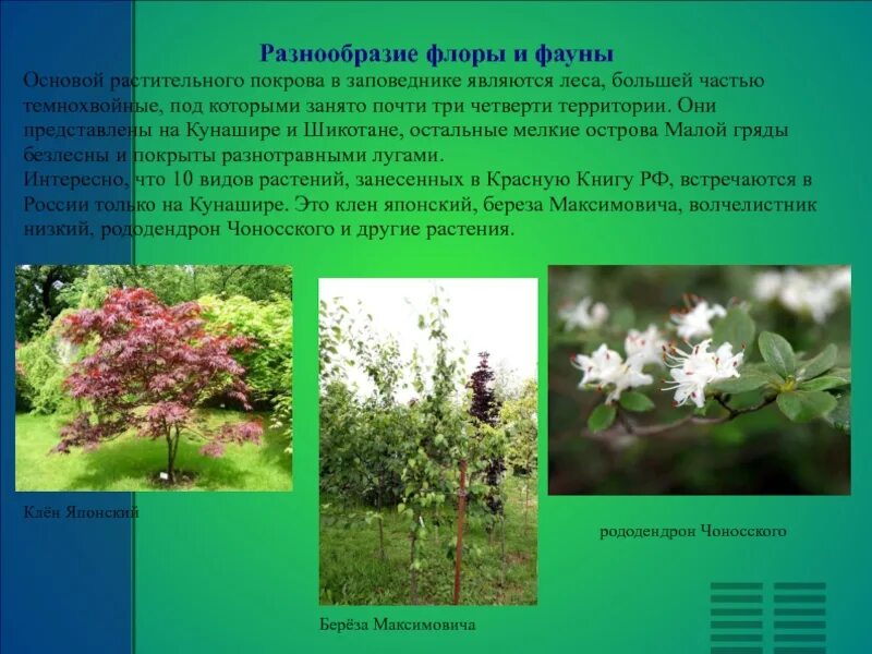 На разнообразие флоры и фауны влияют. Курильский заповедник растительный мир. Разнообразие Флоры и фауны в России. Сообщение Флоры и фауны.