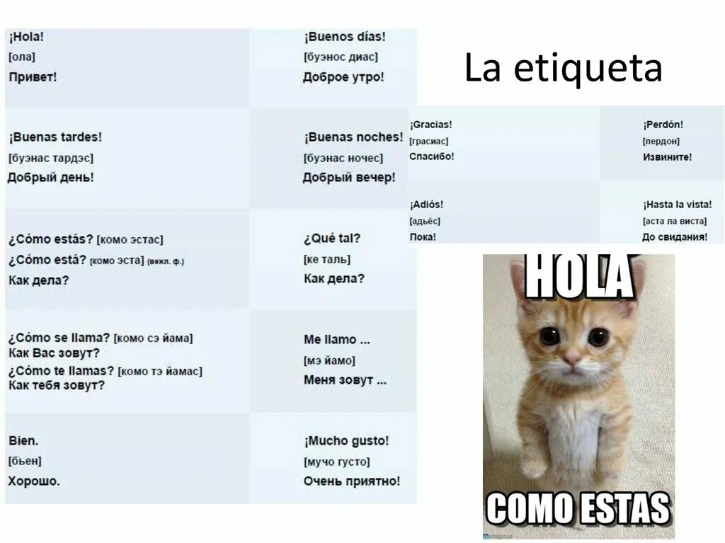 Como estas перевод на русский. Легкий диалог на испанском. Basic spanish phrases. Como estas урок испанского. Эмоции на испанском языке.