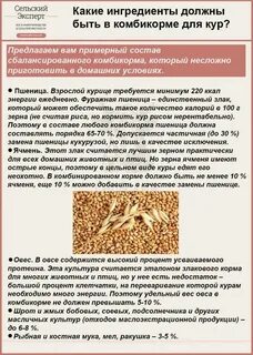 Какой корм лучше курам несушкам