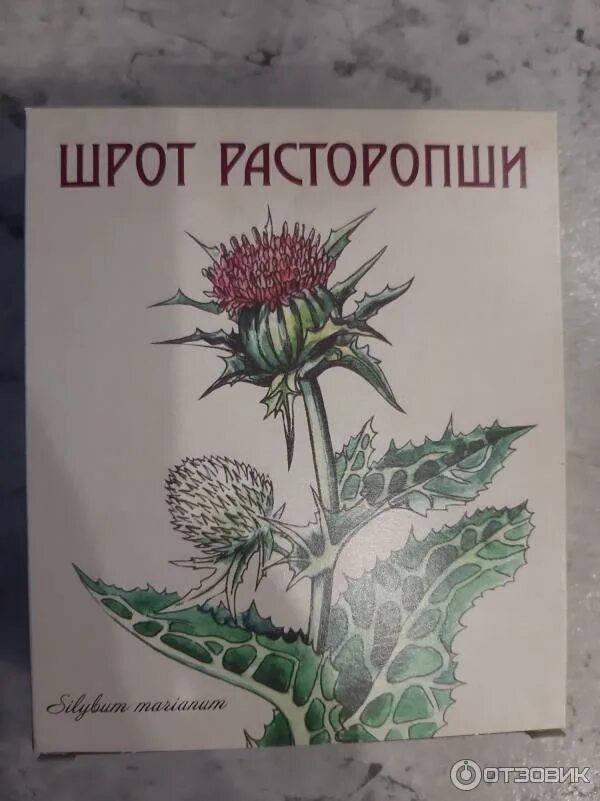 Расторопша как сушить. Расторопша дикая. расторопша атоми. шрот расторопши. расторопша порошок.