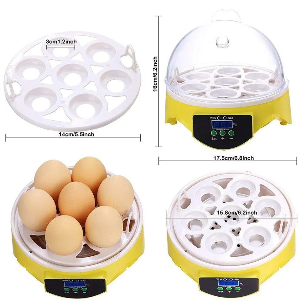 Инкубаторное яйцо купить. Инкубатор 12 Egg incubator. Инкубатор Egg incubator HHD ew9-7. Мини-инкубатор на 7 яиц HHD 7 С терморегулятором, SITITEK. Инкубатор Egg incubator 6.