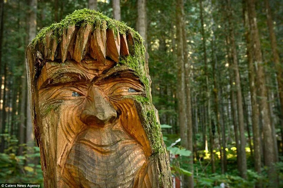 Гаюн леший. Леший славянская мифология шишкин. Сказочный пень. Глаз лешего. Лесной царь леший.