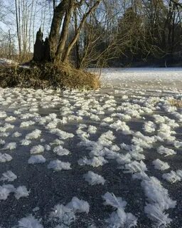 Аномальные погодные условия