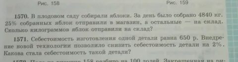 С двух рядов яблонь собрали