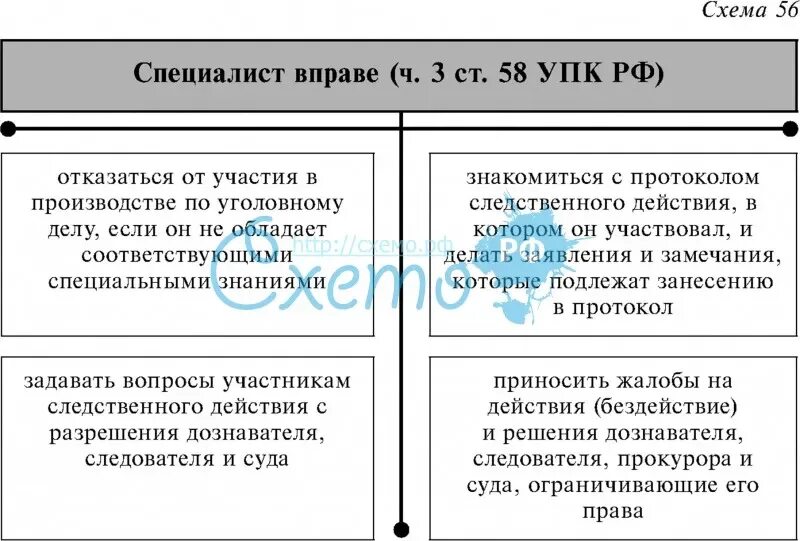 Статус эксперта и специалиста