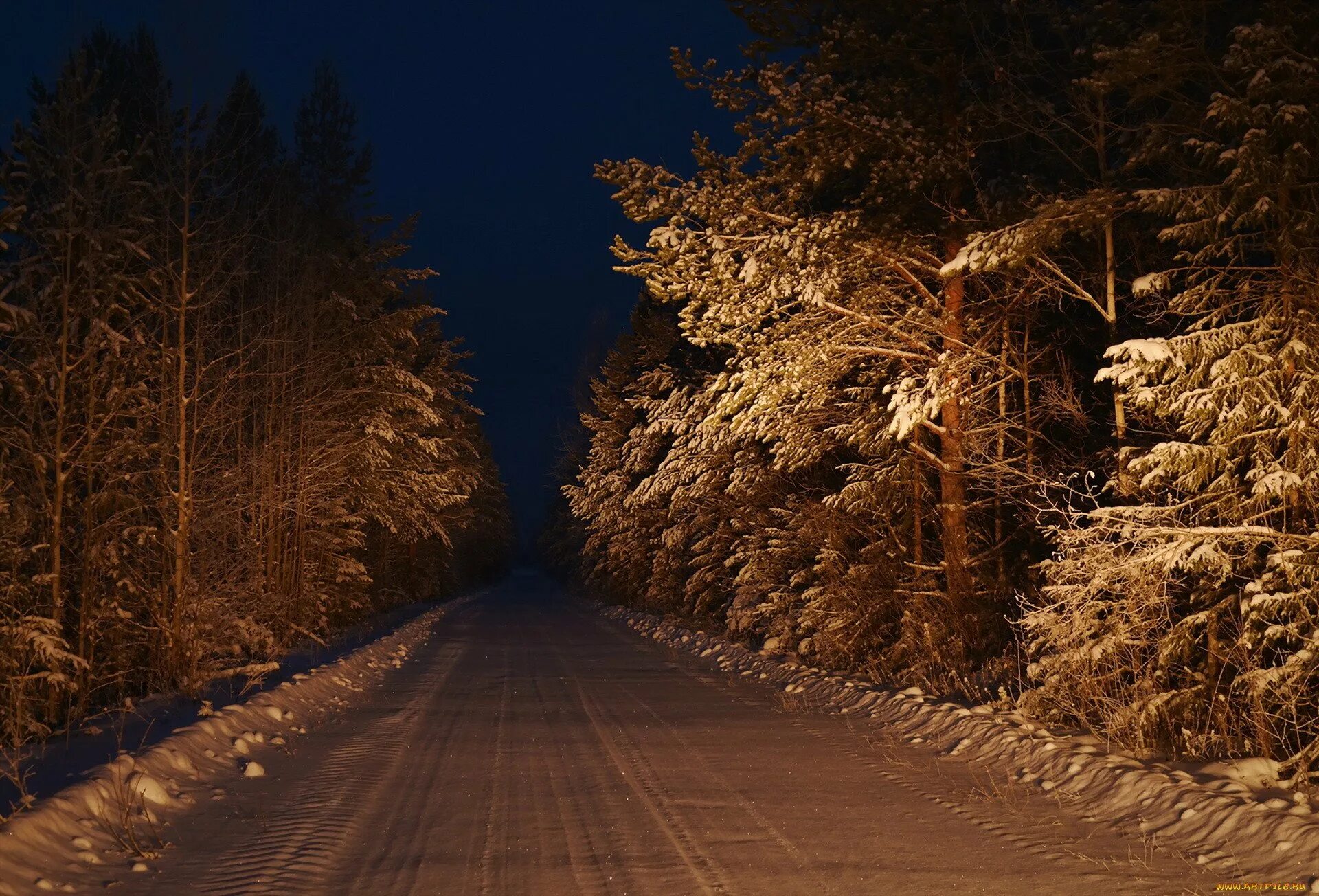 Ночью в лесу 3 класс. Заснеженная дорога в лесу. Ночной зимний лес. Зимняя дорога в лесу. Зимняя Лесная дорога.