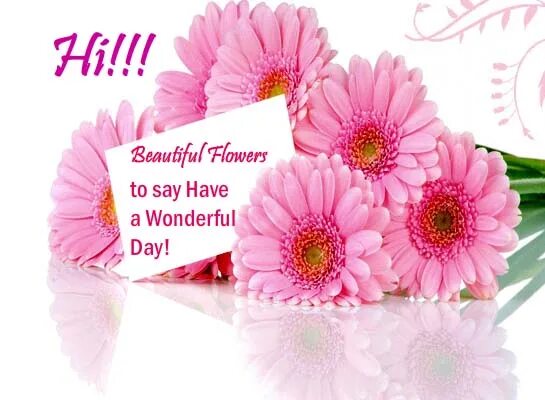 открытка have a wonderful day. Have a wonderful day картинки. Have you a wonderful day cards. Good morning красивые. Wonderful day.