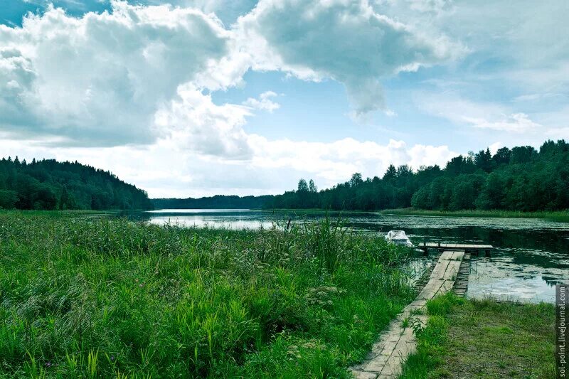 Озеро ужин. Озеро ужин на Валдае. Озеро ужин Новгородская область Валдай. Озеро ужин Валдай сверху. Озеро ужин на Валдае фото.