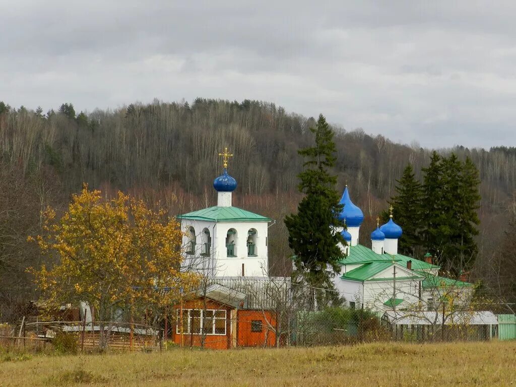 деревня малы псковской области. малы псковская область. изборск мальский монастырь. мальской рождественский монастырь. мальский спасо-рождественский монастырь.