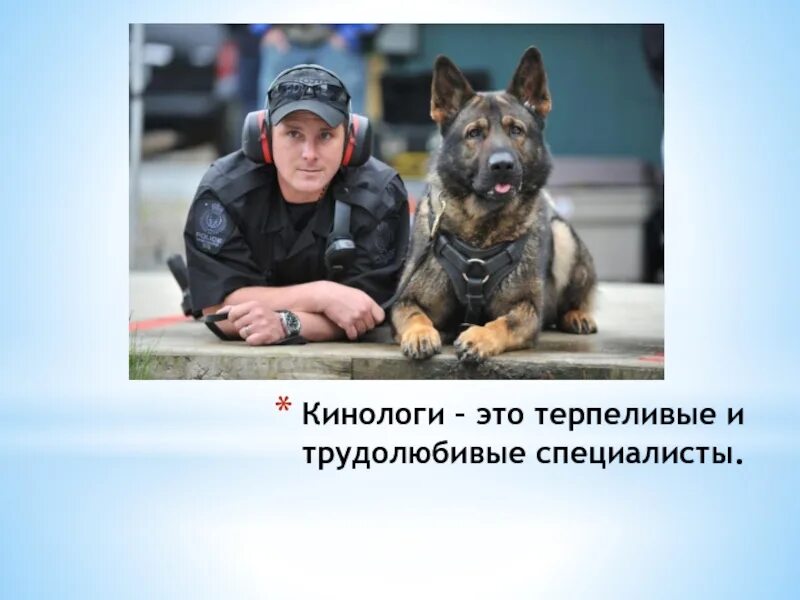 Плакаты со служебными собаками. Собаки кинологической службы. Правила кинологов. Группа служебных собак. Правила кинологов.