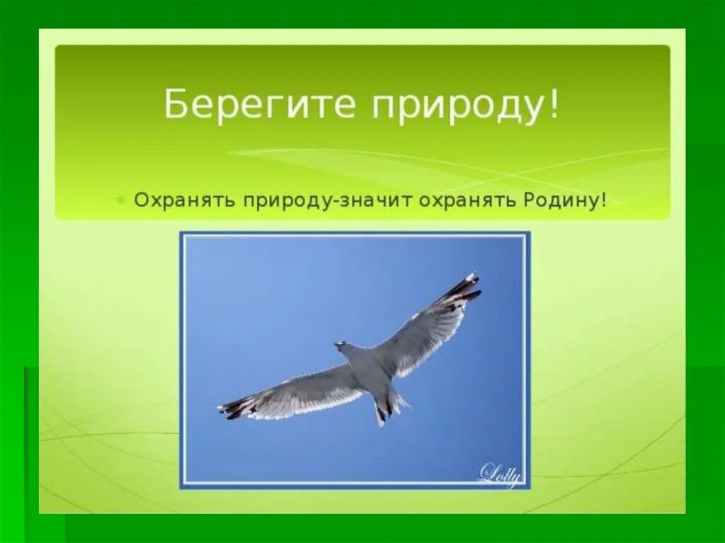 Берегите природу с числительными 6 класс сообщение. Охранять родину. берегите природу. выступление берегите природу. природу надо охранять.