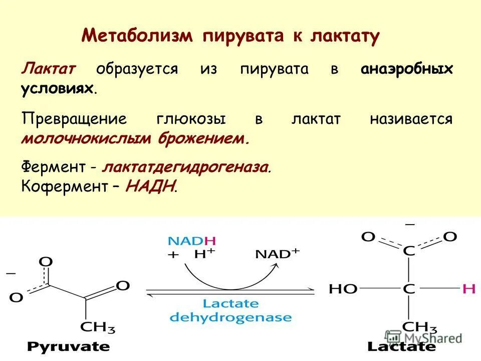 Химические превращения веществ. Химические реакции. Амины и аминокислоты цепочки превращения. Что происходит с газом при охлаждении. Феррито-сорбитная структура.