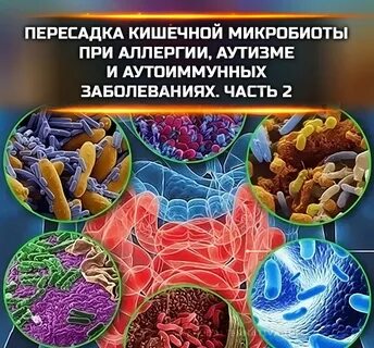 Пересадка кала