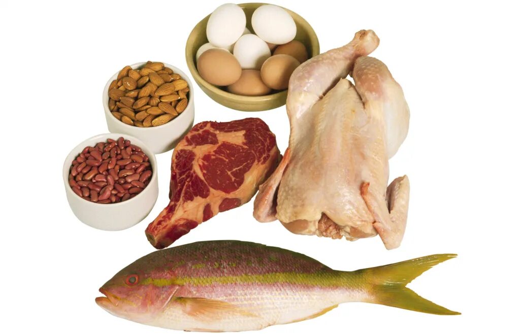Мясо рыба яйца. Белки продукты. Питание белки. Мясо рыба курица. Белок мяса птицы