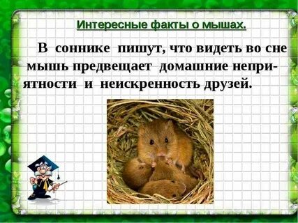 Мышку поймали сон