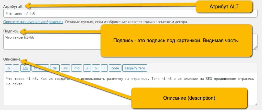 Тег alt html. Атрибут alt. атрибут alt для картинок что это. тег alt для изображений. alt title для картинок.