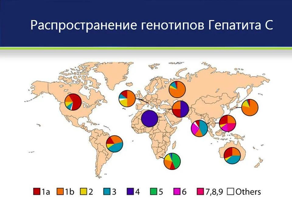 Распространение генотипов вируса гепатита с. Распространенность гепатита а. Распространенность гепатита в в мире. Распространение гепатита а в мире. Гепатит с генотип 1b