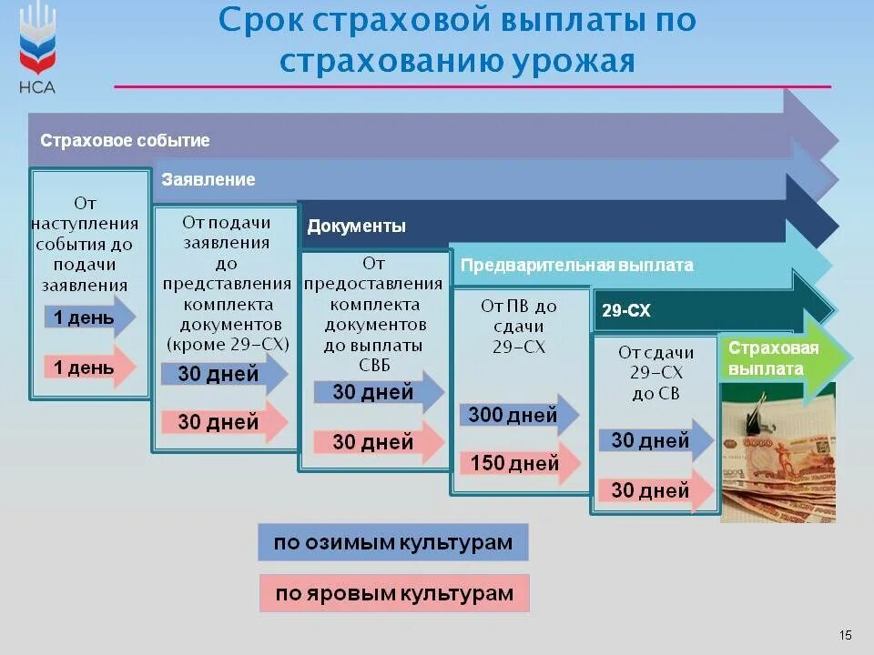 Порядок и сроки выплаты страхового возмещения. Сроки выплаты по страховому случаю. Начисление страховых выплат. Порядок получения страховых выплат.